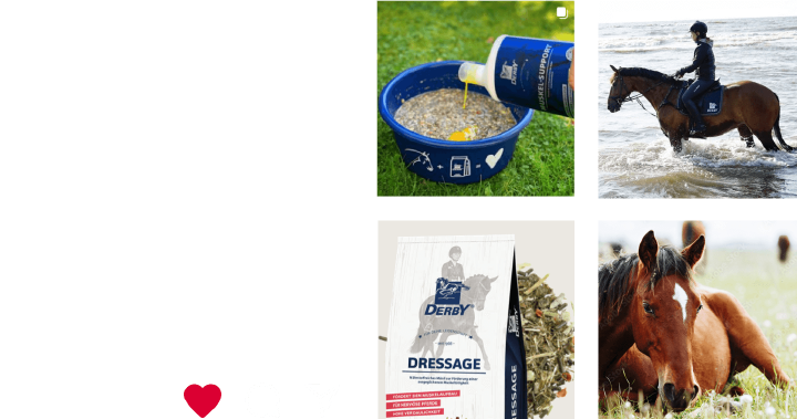 teaserbild instagram banner derby